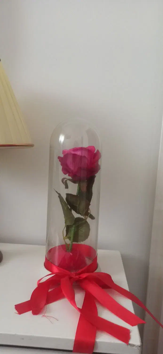 دوتا گل مصنوعی|گل مصنوعی|گرگان, |دیوار