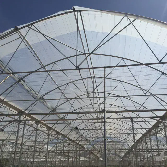 گلخانه ۸۰۰۰|عمده‌فروشی|ورامین, ورامین|دیوار