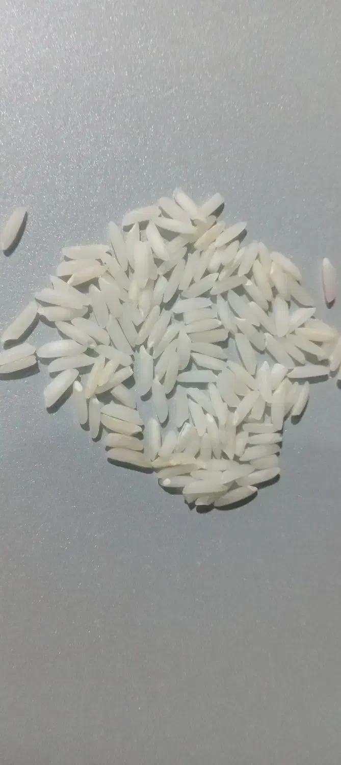 برنج صدری موجود است|خوردنی و آشامیدنی|رودبنه, |دیوار