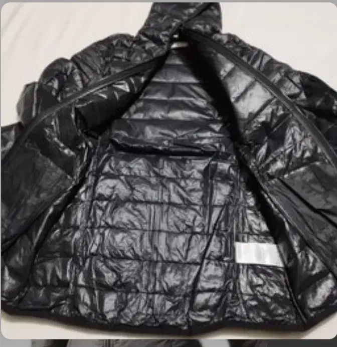 کاپشن|لباس|شازند, |دیوار