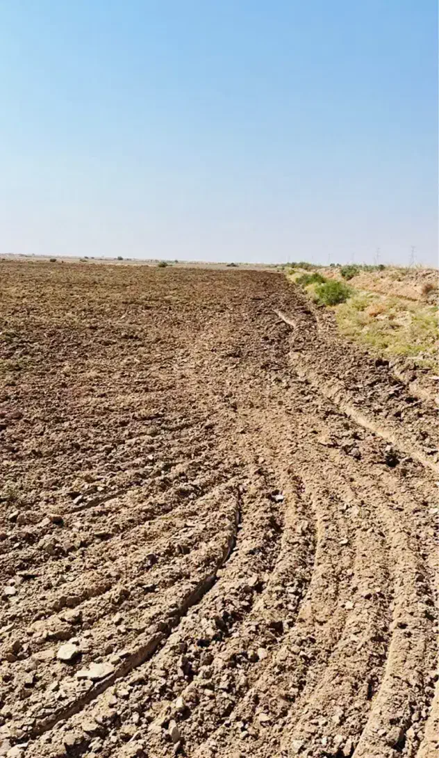 اجاره ۴ هکتار زمین کشاورزی آبی رامشیر ۵ سال|اجارهٔ دفتر صنعتی، کشاورزی، تجاری|بندر ماهشهر, |دیوار