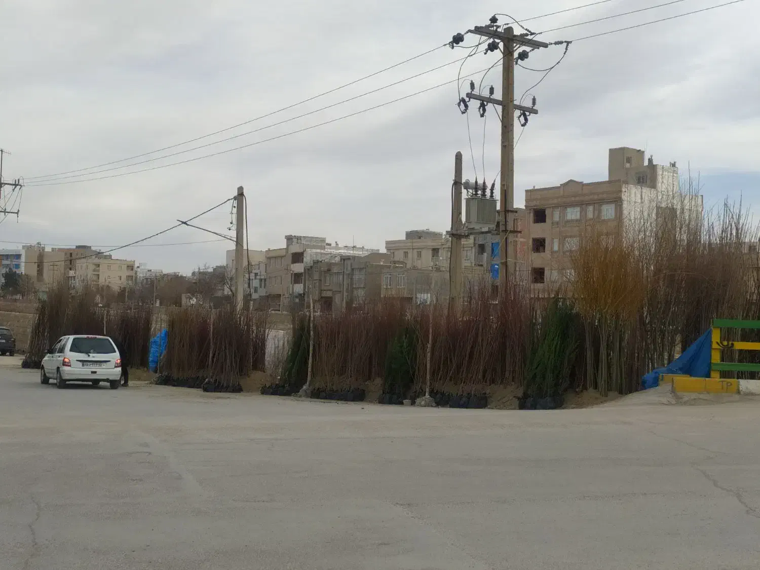 نهال|خدمات باغبانی و درختکاری|شیروان (خراسان), |دیوار