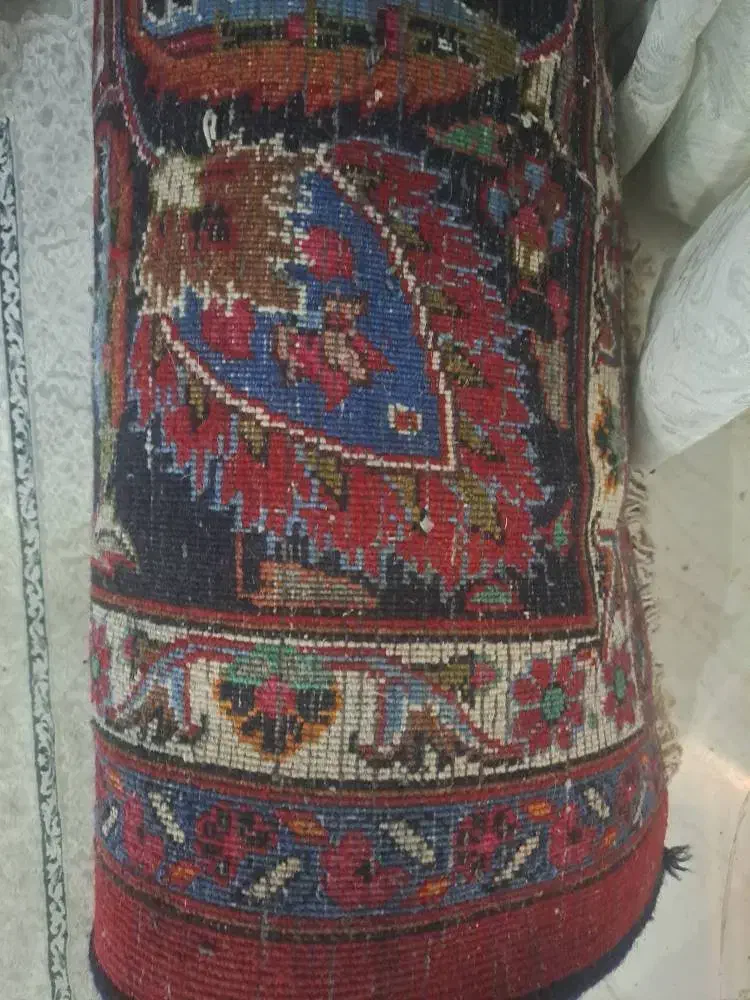فرش ۱۲ متری دست بافت|فرش|باغستان, |دیوار
