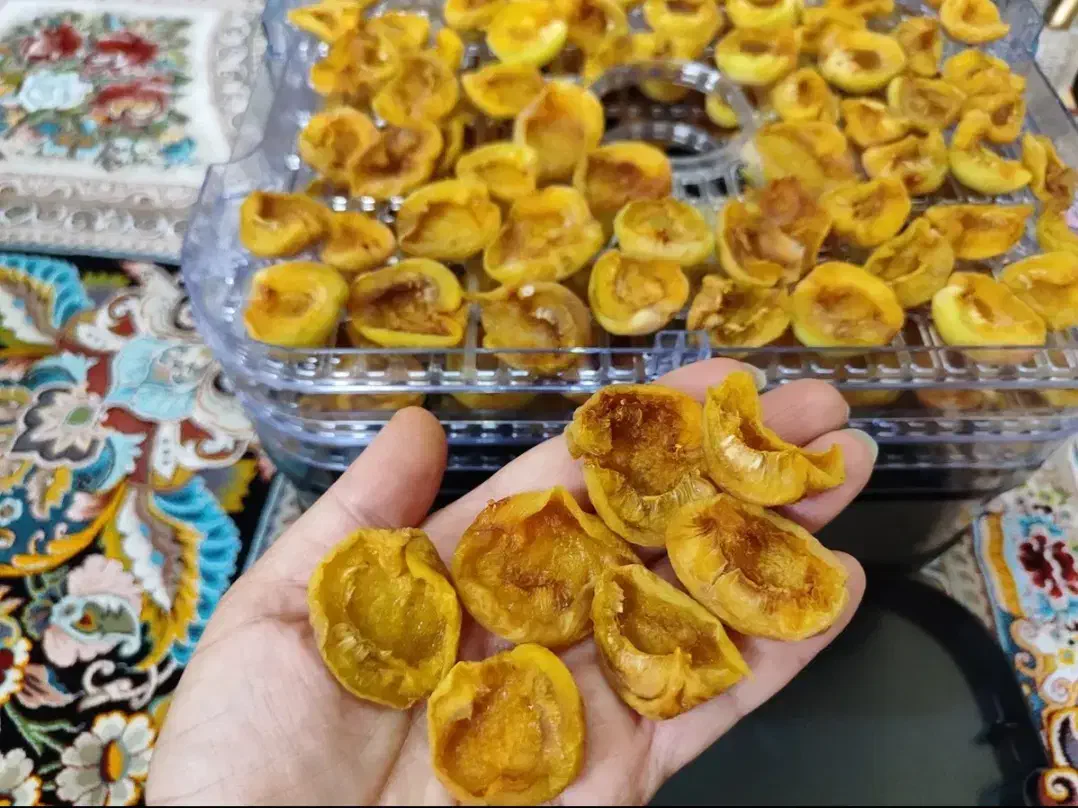 میوه خشک کن ،  نو ، کف قیمت بازار|سایر لوازم برقی|خمین, |دیوار