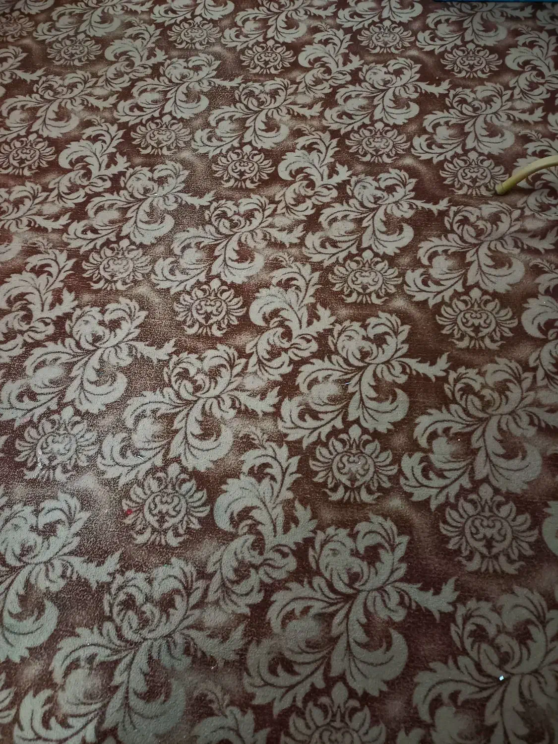 موکت طرح دار کاملا سالم|موکت|رشت, سلیمانداراب|دیوار