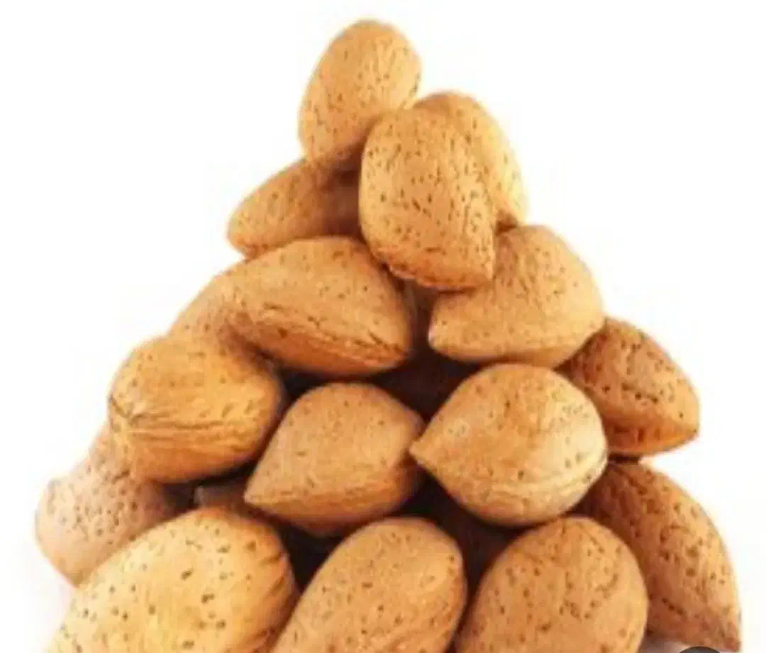 فروش آبغوره مویز سیاه ورجبی بادام سنگی دشمن زیاری|خوردنی و آشامیدنی|شیراز, شیخ روزبهان|دیوار