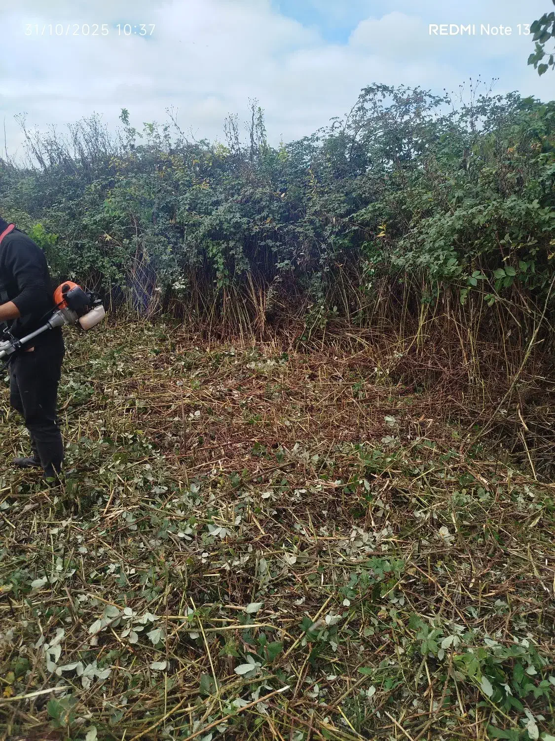 علفزنی.لی زنی.تمشک زنی|خدمات باغبانی و درختکاری|بندر انزلی, امامزاده|دیوار