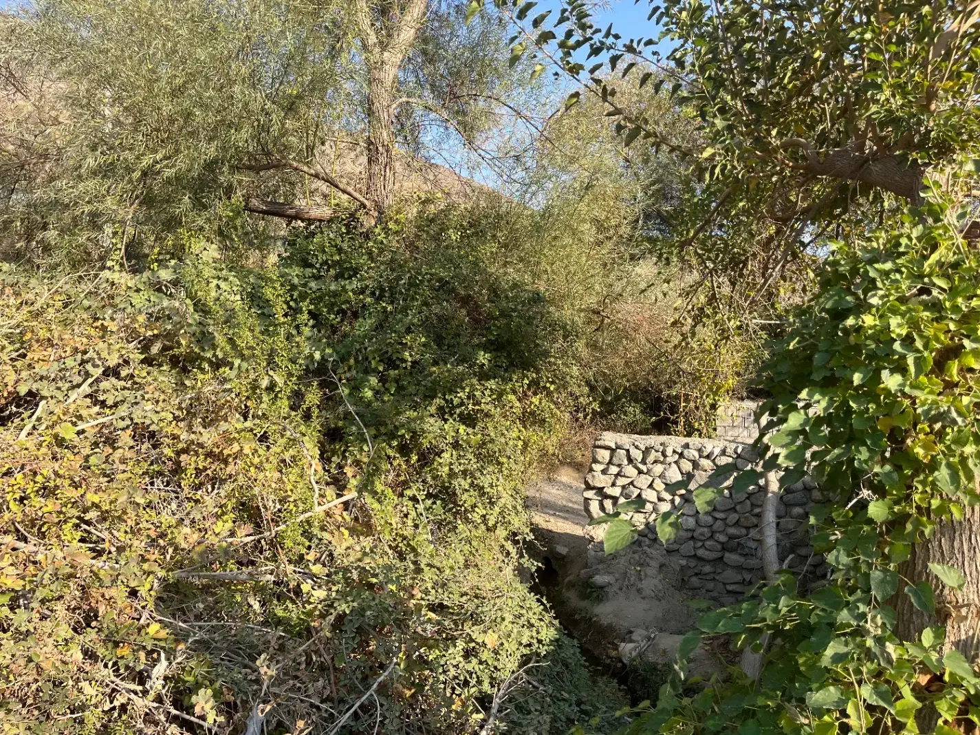 باغ و زمین ویلایی دلفارد|فروش زمین و ملک کلنگی|درب بهشت, |دیوار