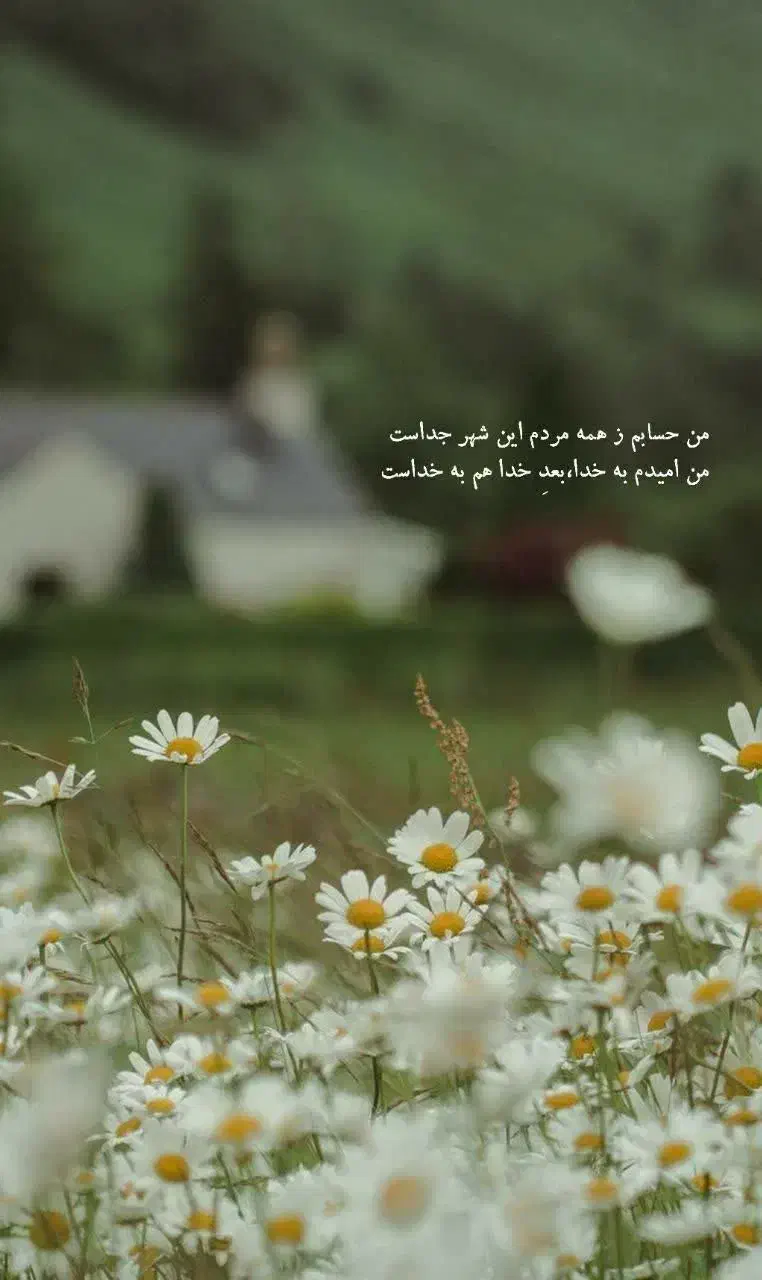 نیازمند خانه بدون پول پیش|اجارهٔ خانه و ویلا|شیراز, مهدی‌آباد|دیوار