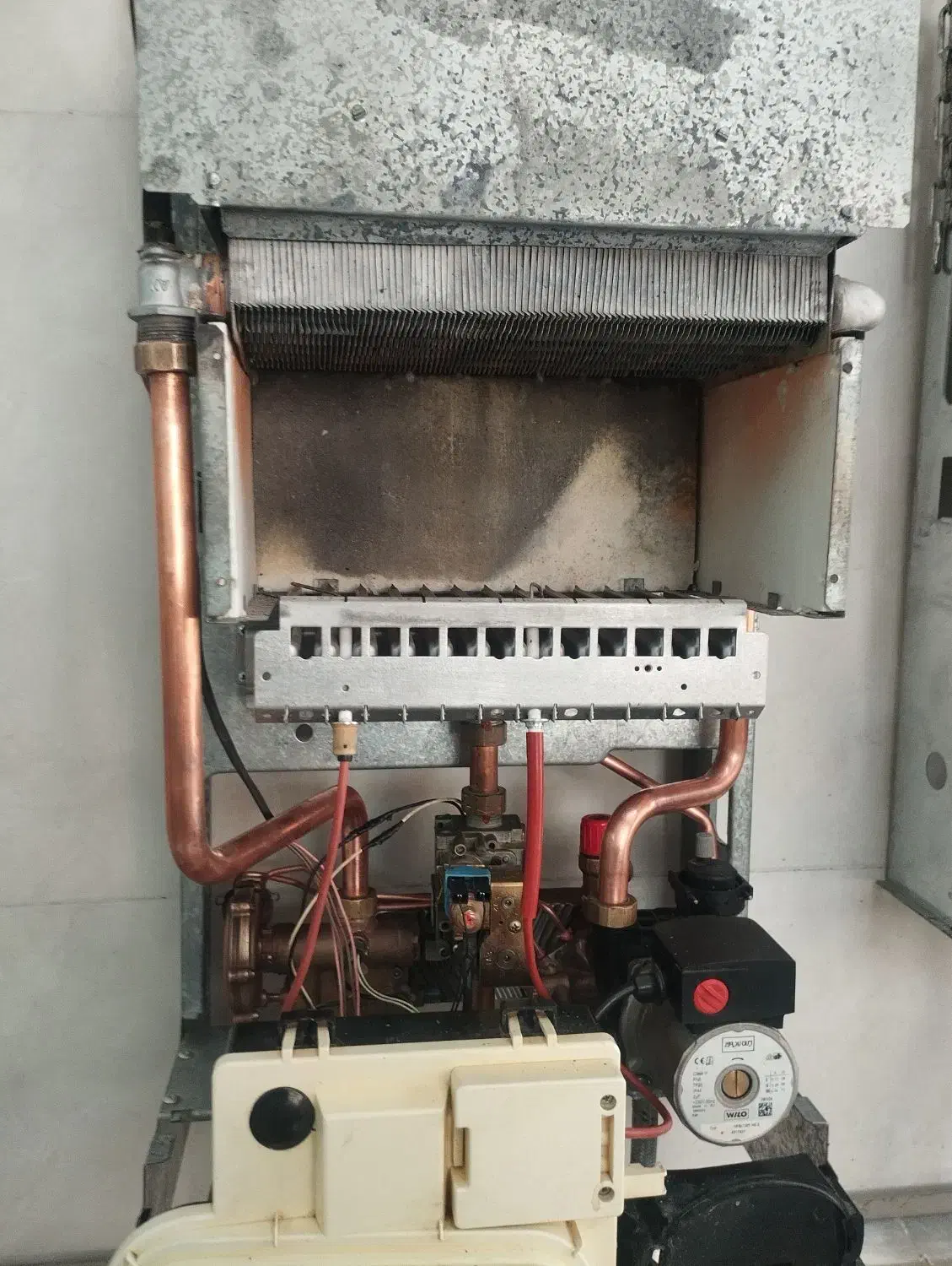 تعمیر پکیج ایرانی خارجی صدرا گلستان گلدشت بزین|خدمات پیشه و مهارت|صدرا-فارس, فاز ۱|دیوار