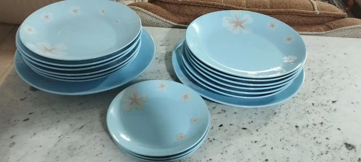 ارکوپال|ظروف سرو و پذیرایی|کرج, حیدرآباد|دیوار