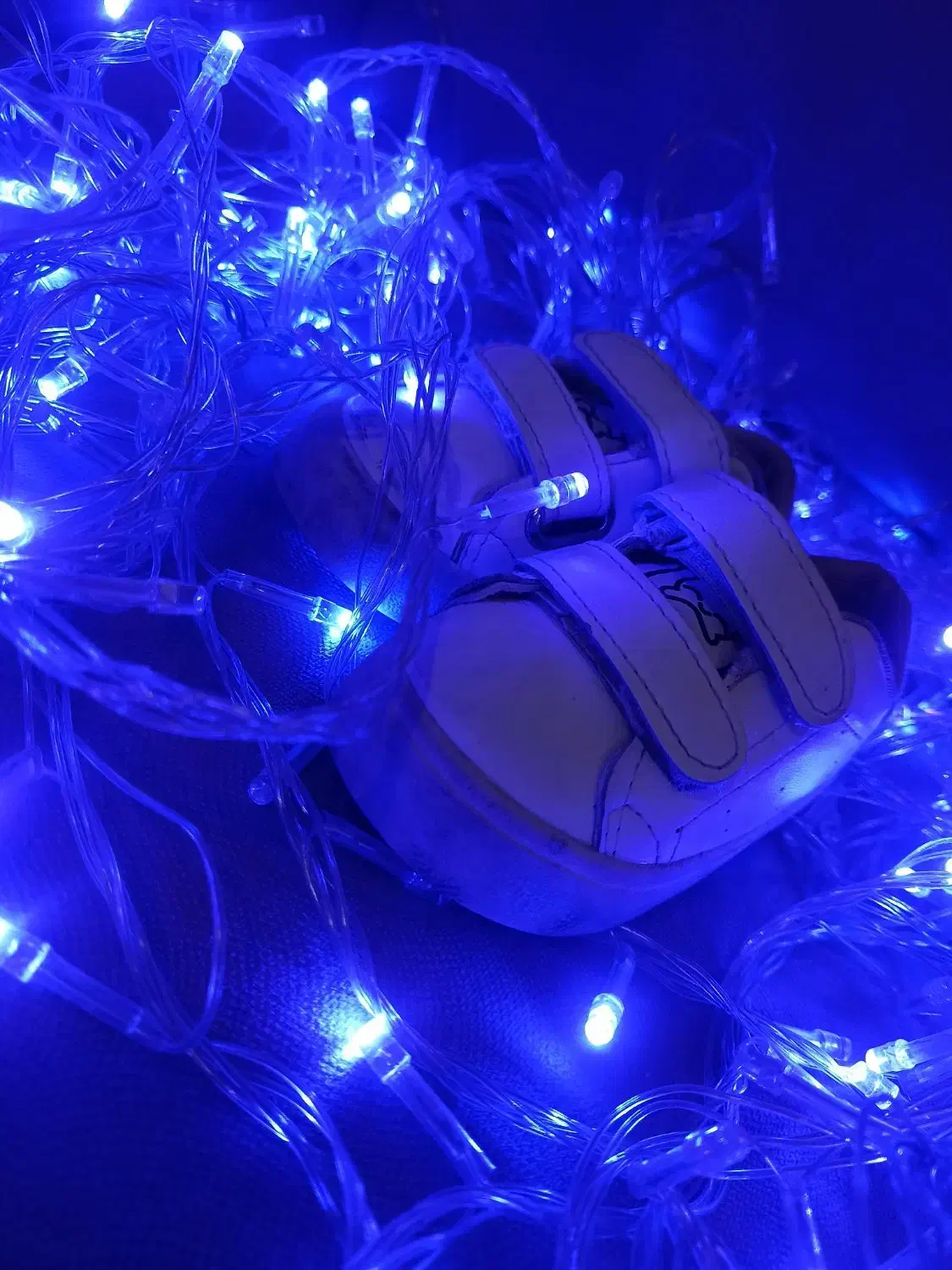 کفش|کیف، کفش، کمربند|بندر کنگان, |دیوار