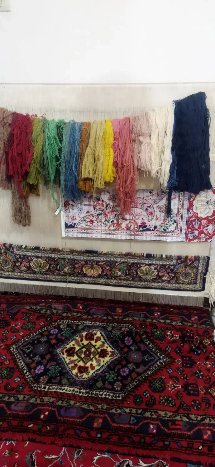 فرش|فرش|قزوین, |دیوار