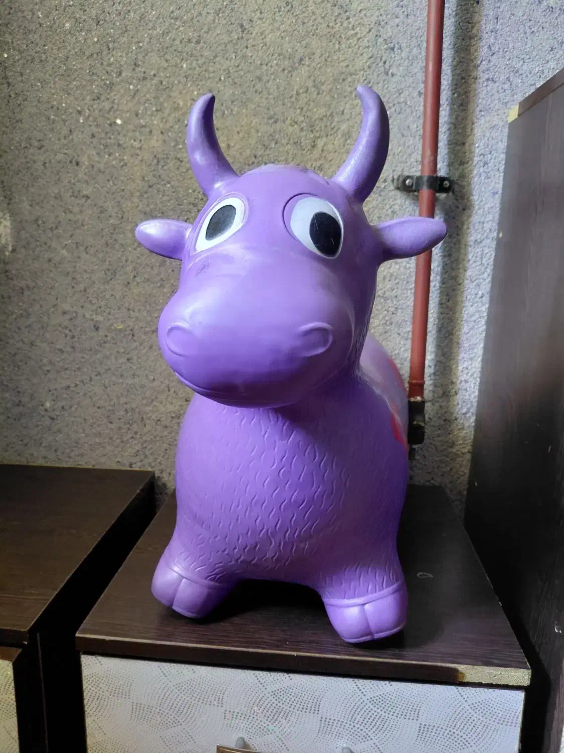 گاو بادی|اسباببازی بچه|دوگنبدان, |دیوار