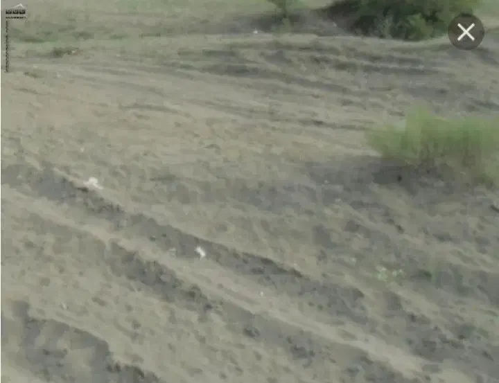 فروش زمین مسکونی|فروش زمین و ملک کلنگی|منوجان, |دیوار