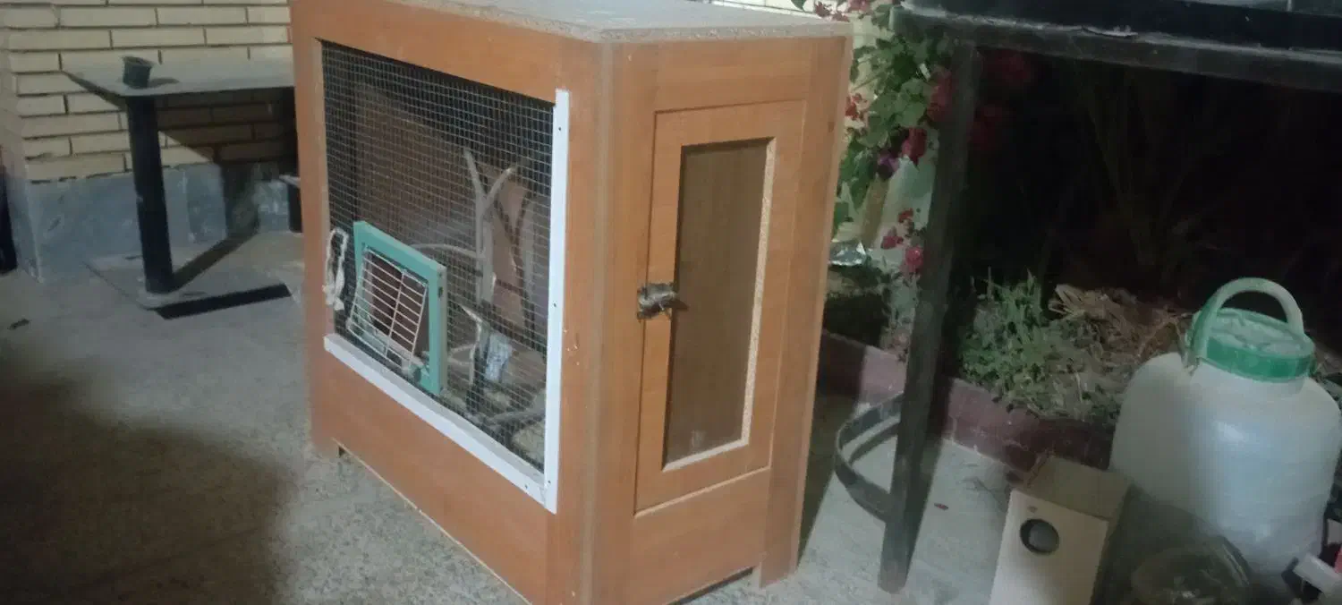 قفس پرندگان چوبی|لوازم جانبی حیوانات|طبس, |دیوار