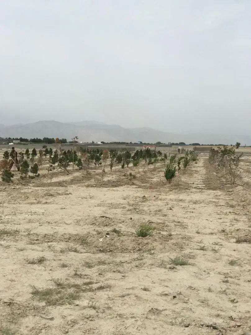 زمین قشلاق مهرچین ۷۵۰متر|فروش زمین و ملک کلنگی|شهریار, بکه|دیوار