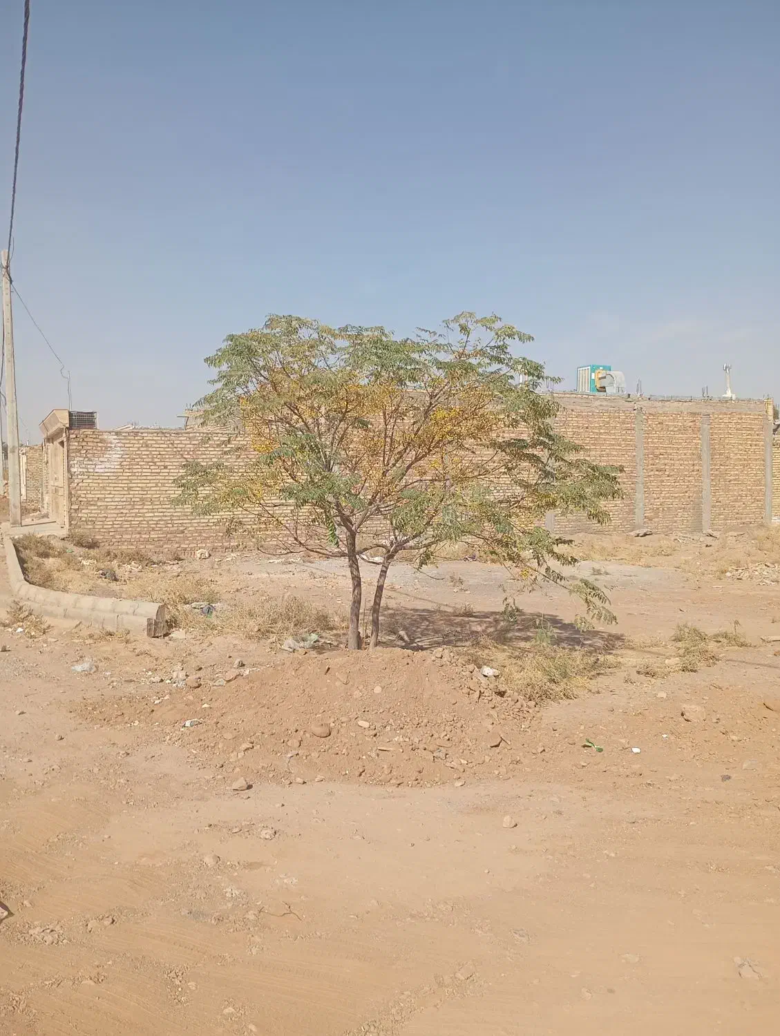 زمین/شهیدغلام زاده|فروش زمین و ملک کلنگی|تربت جام, شهید غلام زاده|دیوار