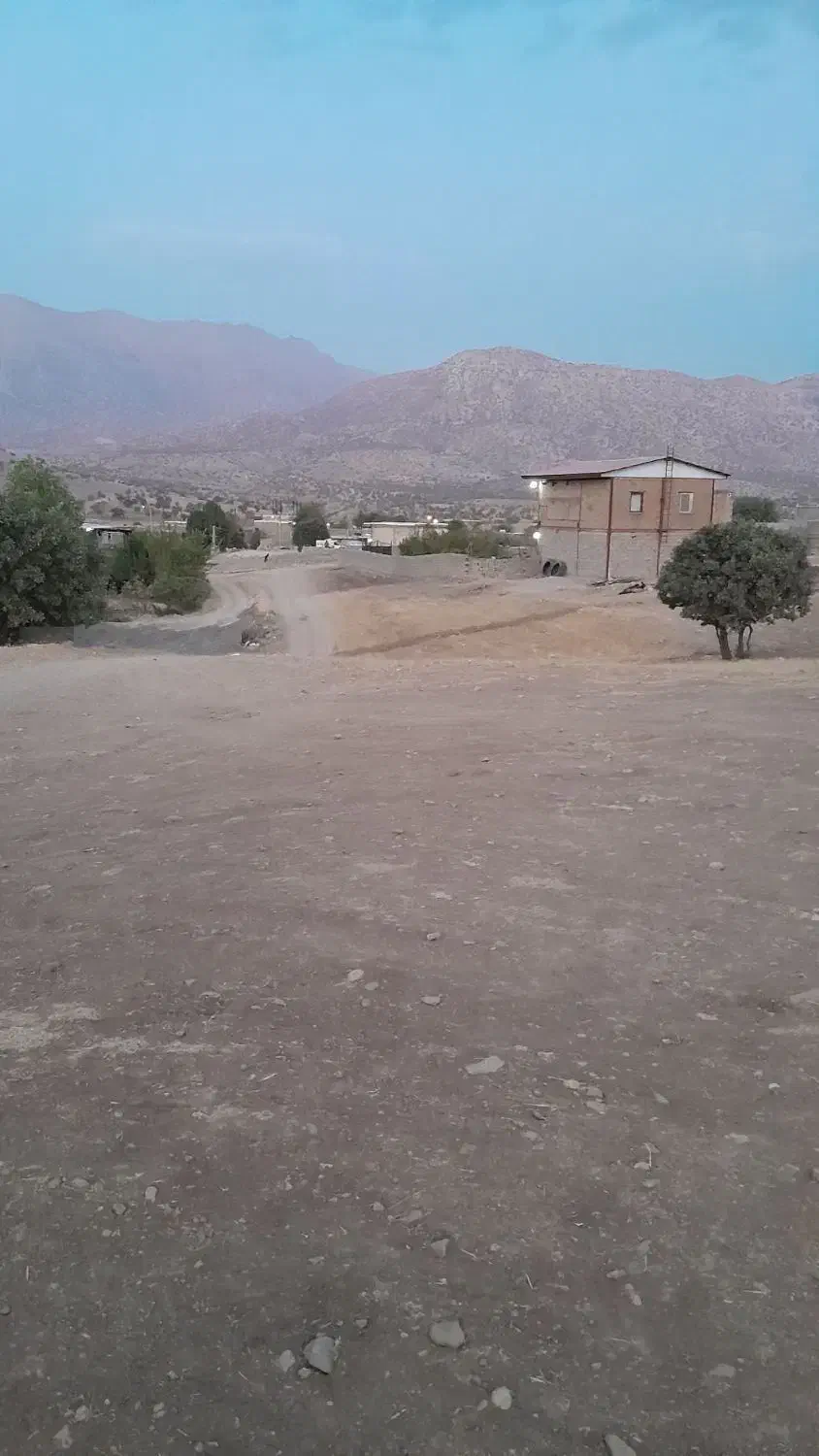 فروش تعداد پنجاه و چهار راس بره پروار|حیوانات مزرعه|شاهیوند, |دیوار