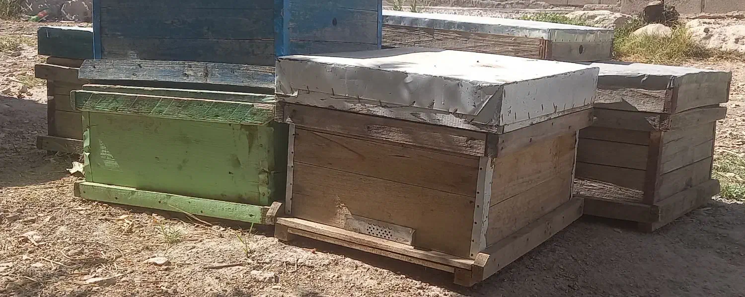 ۹ عدد کندو خالی با قاب|لوازم جانبی حیوانات|گیلان غرب, |دیوار