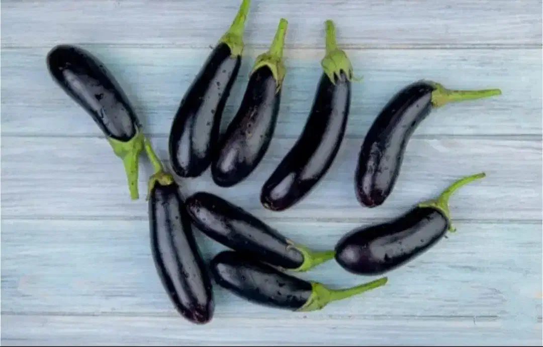 بادمجان ریز و درشت شیرین،بلال شیرین(داوطلبانه)|خوردنی و آشامیدنی|پاکدشت, پاکدشت (مامازند)|دیوار