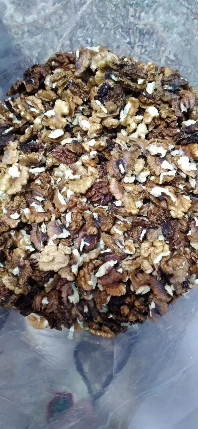 مغز گردو امسالی|خوردنی و آشامیدنی|مشهد, شهرک ابوذر|دیوار