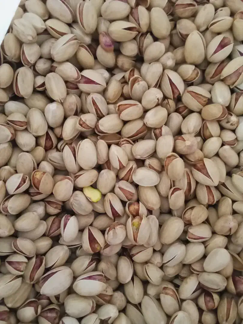 پسته خشک آجیلی|عمدهفروشی|سروستان, |دیوار