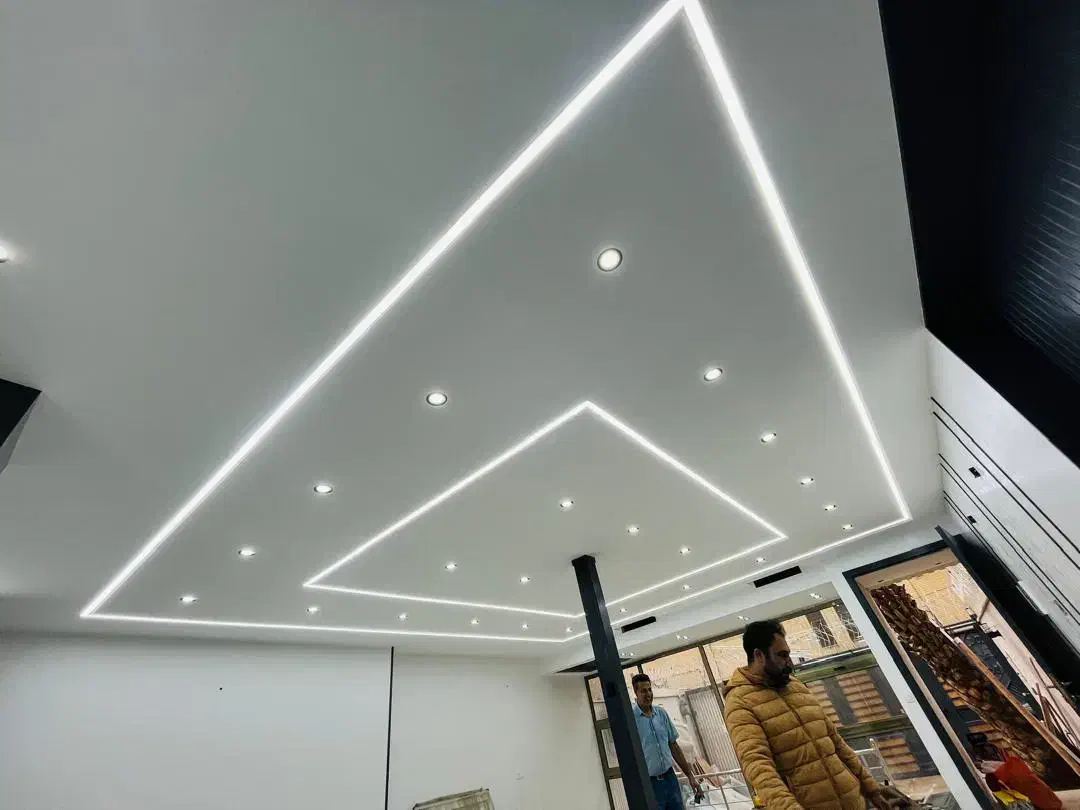 گروه تولید و اجرای لاین نوری اسانور|ریسه و چراغ تزئینی|اصفهان, بوستان ناژوان|دیوار