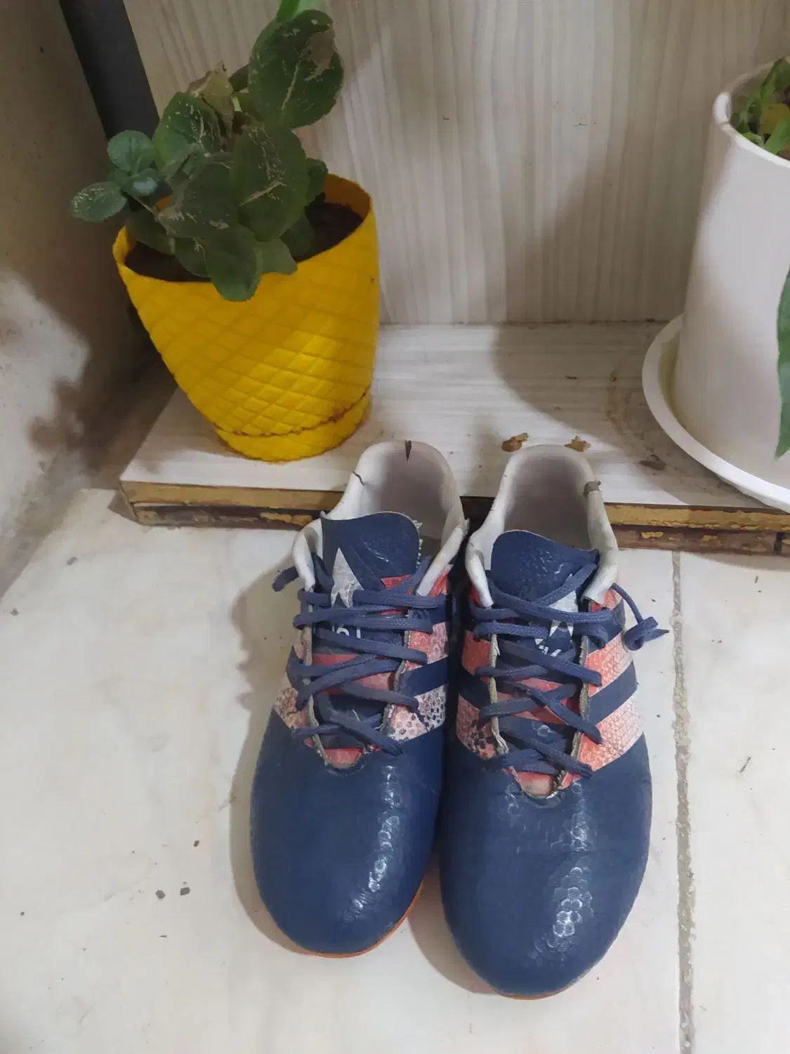 کفش میخی چمن(استوک)|کیف، کفش، کمربند|بجنورد, |دیوار