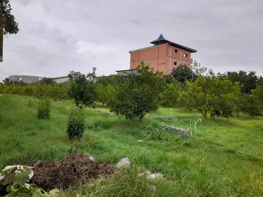 فروش 242متر زمین با سند عرصه و عیان|فروش زمین و ملک کلنگی|دابودشت, |دیوار