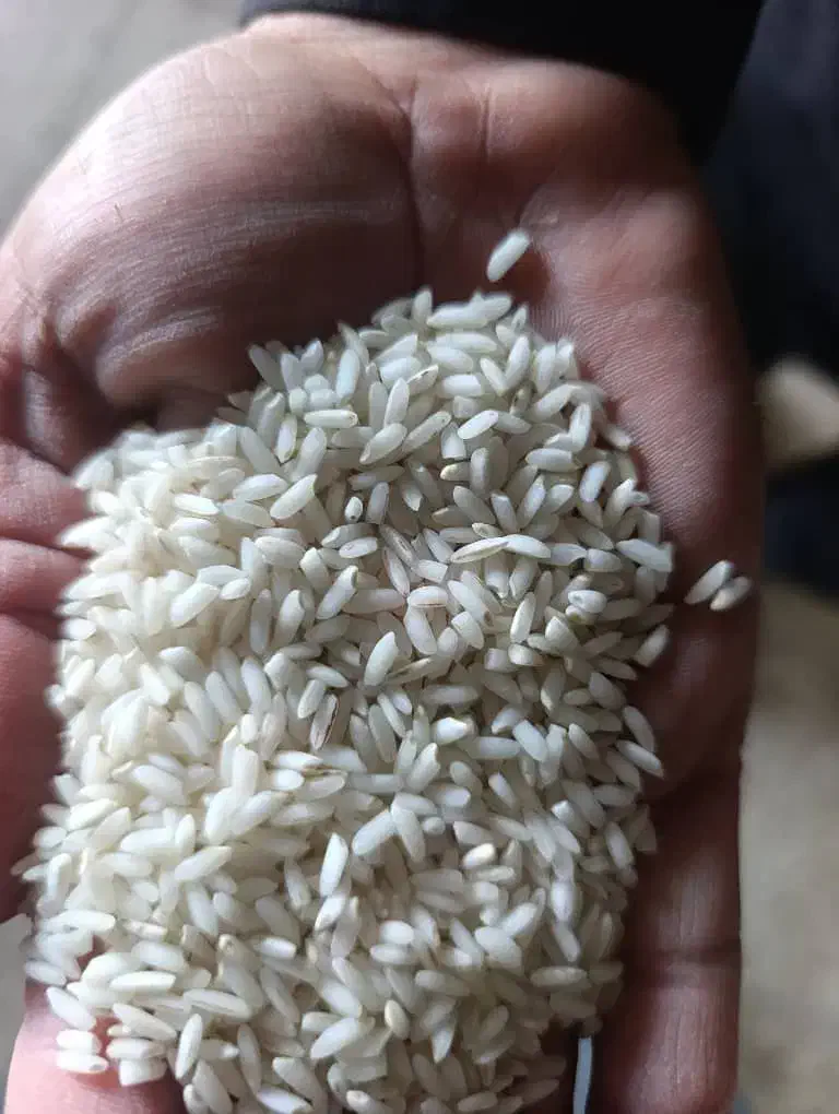 برنج عنبر بو درجه یک|خوردنی و آشامیدنی|شوشتر, |دیوار