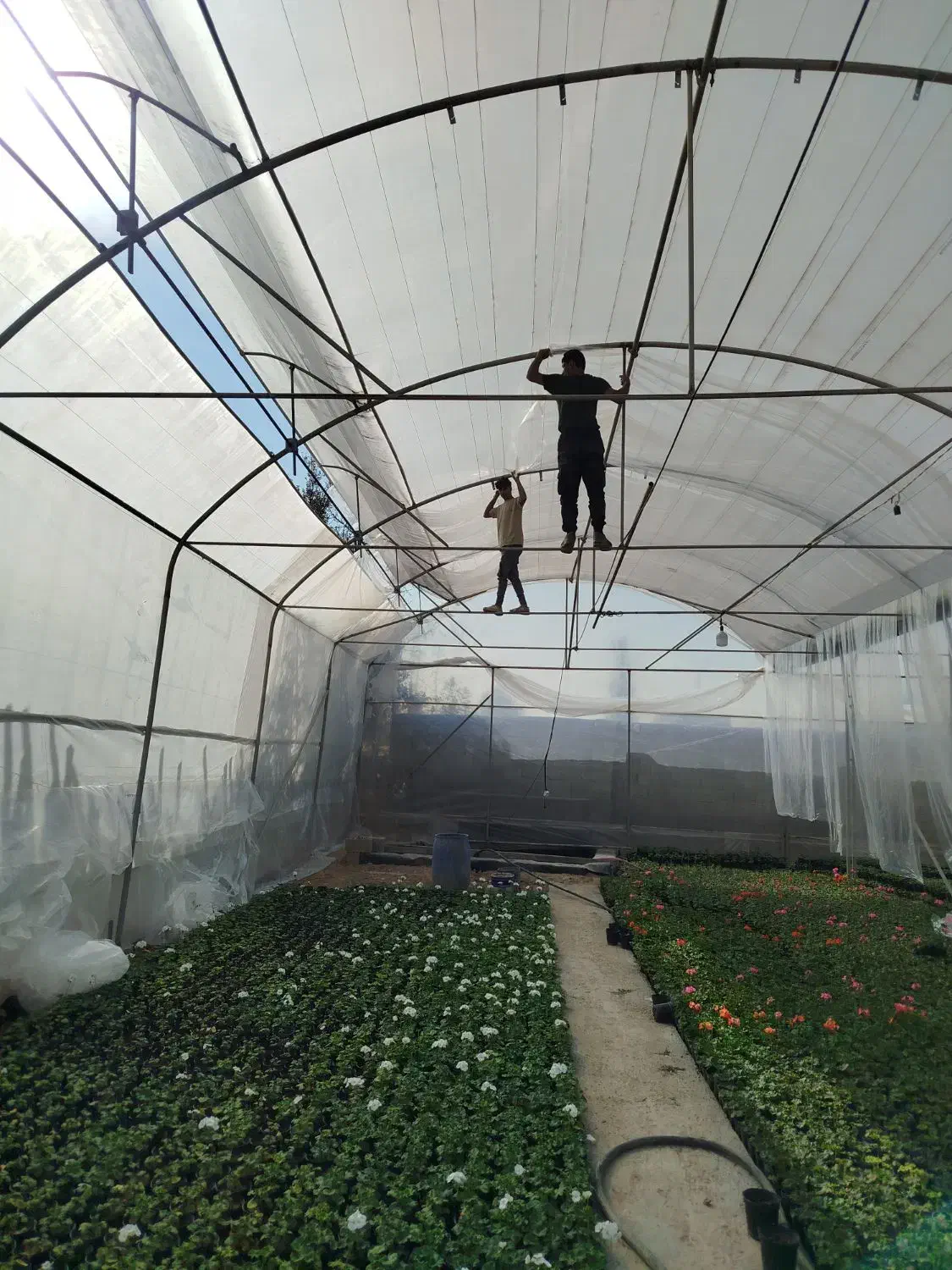 استخدام نیرو کارگر ساده یا فنی کار|استخدام صنعتی، فنی، مهندسی|ابریشم, |دیوار