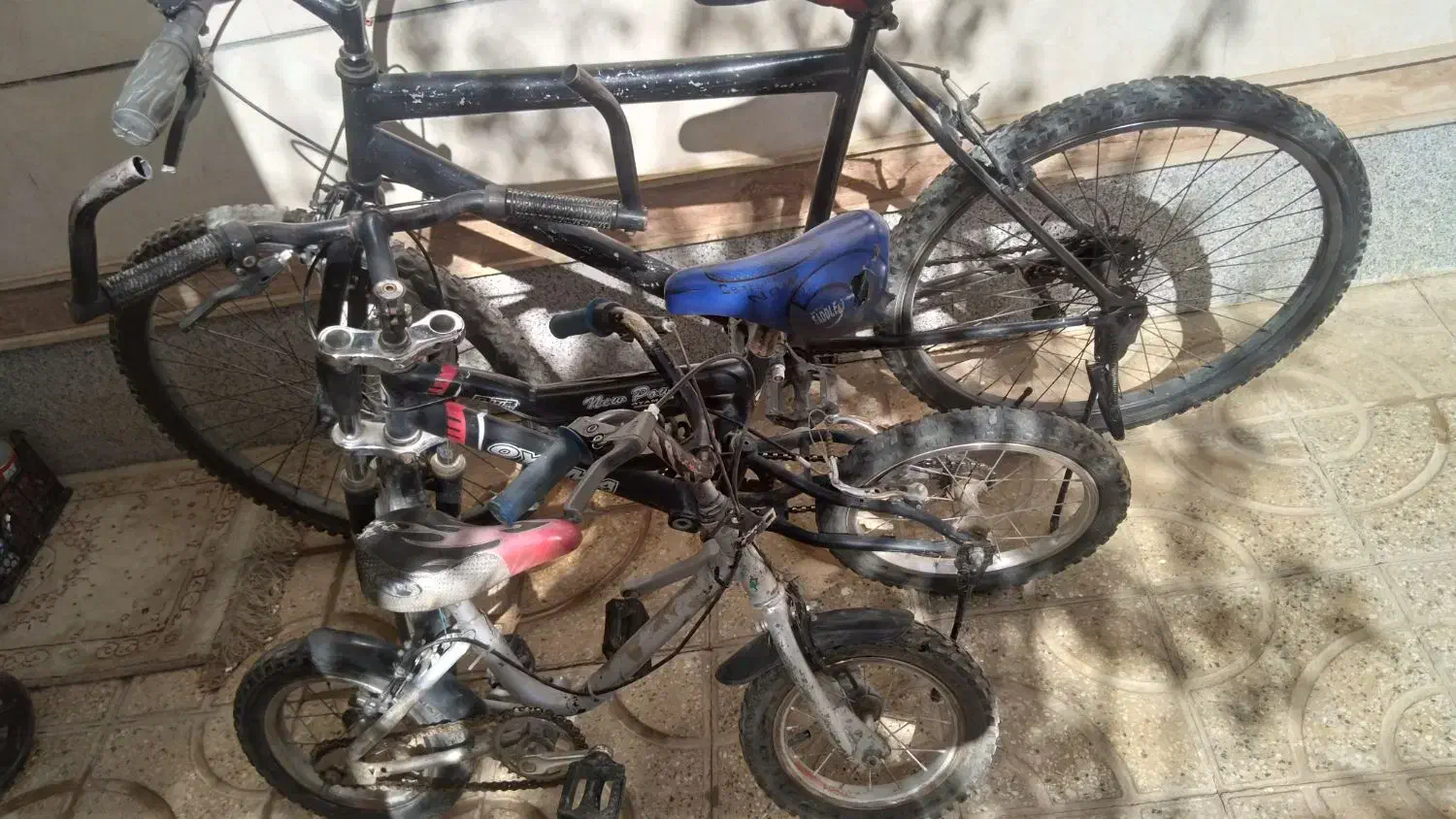 دوچرخه|دوچرخه، اسکیت، اسکوتر|بهار, |دیوار