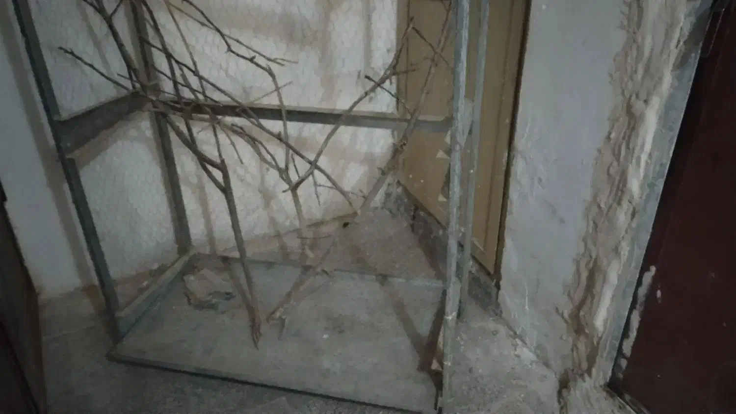 123|پرنده|تربت‌حیدریه, شهرک ولیعصر|دیوار