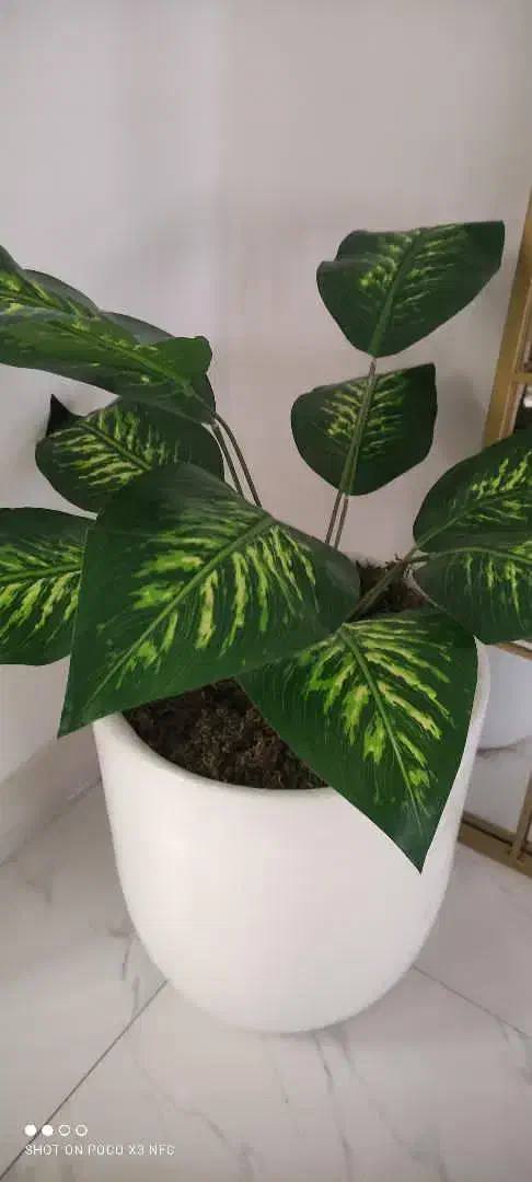 فقط گل فروشیه|گل مصنوعی|نظرآباد, نجم آباد|دیوار