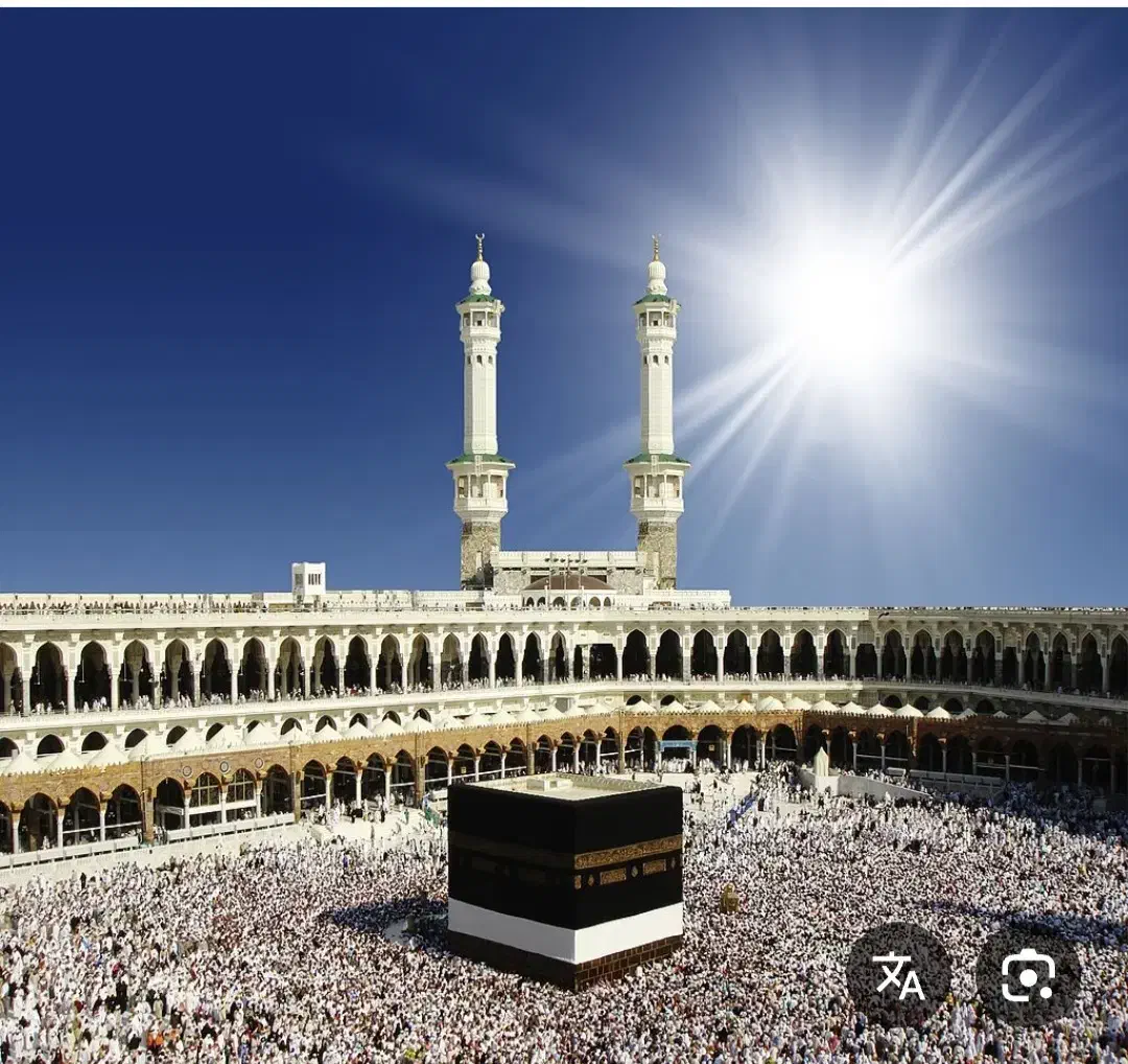 فروش فیش حج تمتع|تور و چارتر|شهر بابک, |دیوار