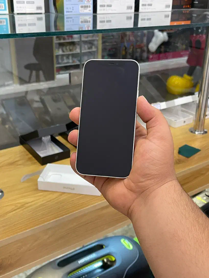 Iphone 12|موبایل|شیراز, وصال|دیوار