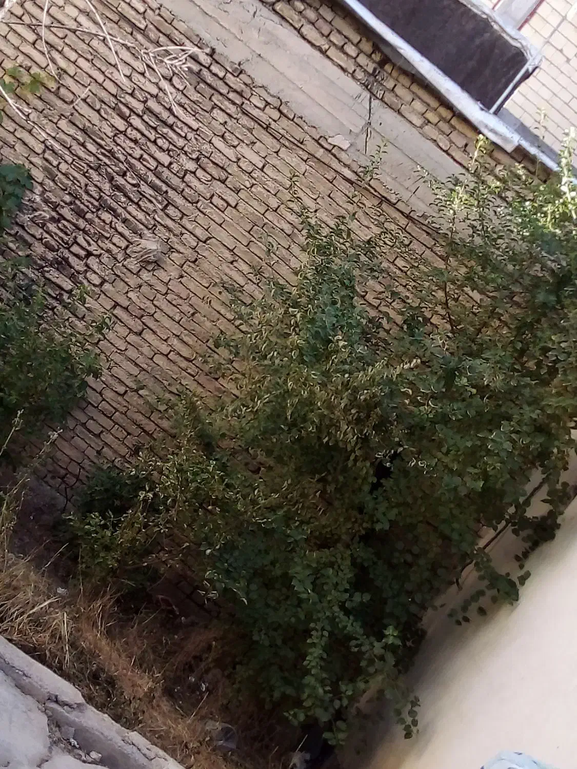 فروش خانه ویلایی فارسان|فروش خانه و ویلا|فارسان, |دیوار