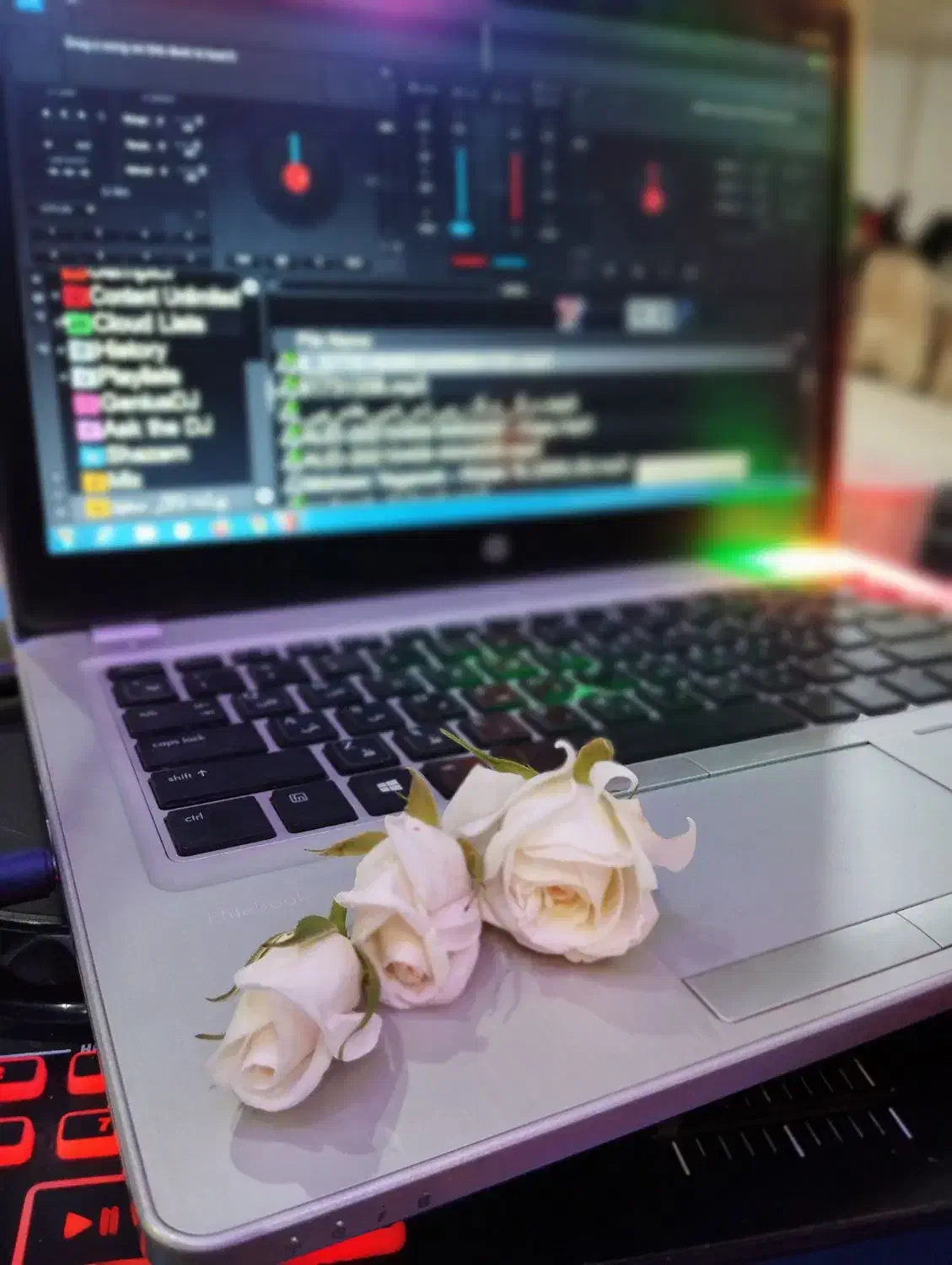 دیجی|خدمات پذیرایی، مراسم|بجنورد, |دیوار