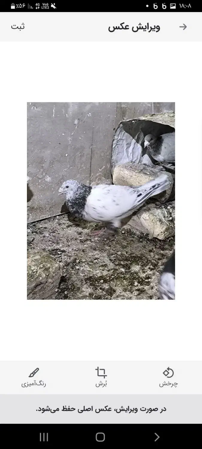 سرورنر|حراج|مشهد, کشف|دیوار