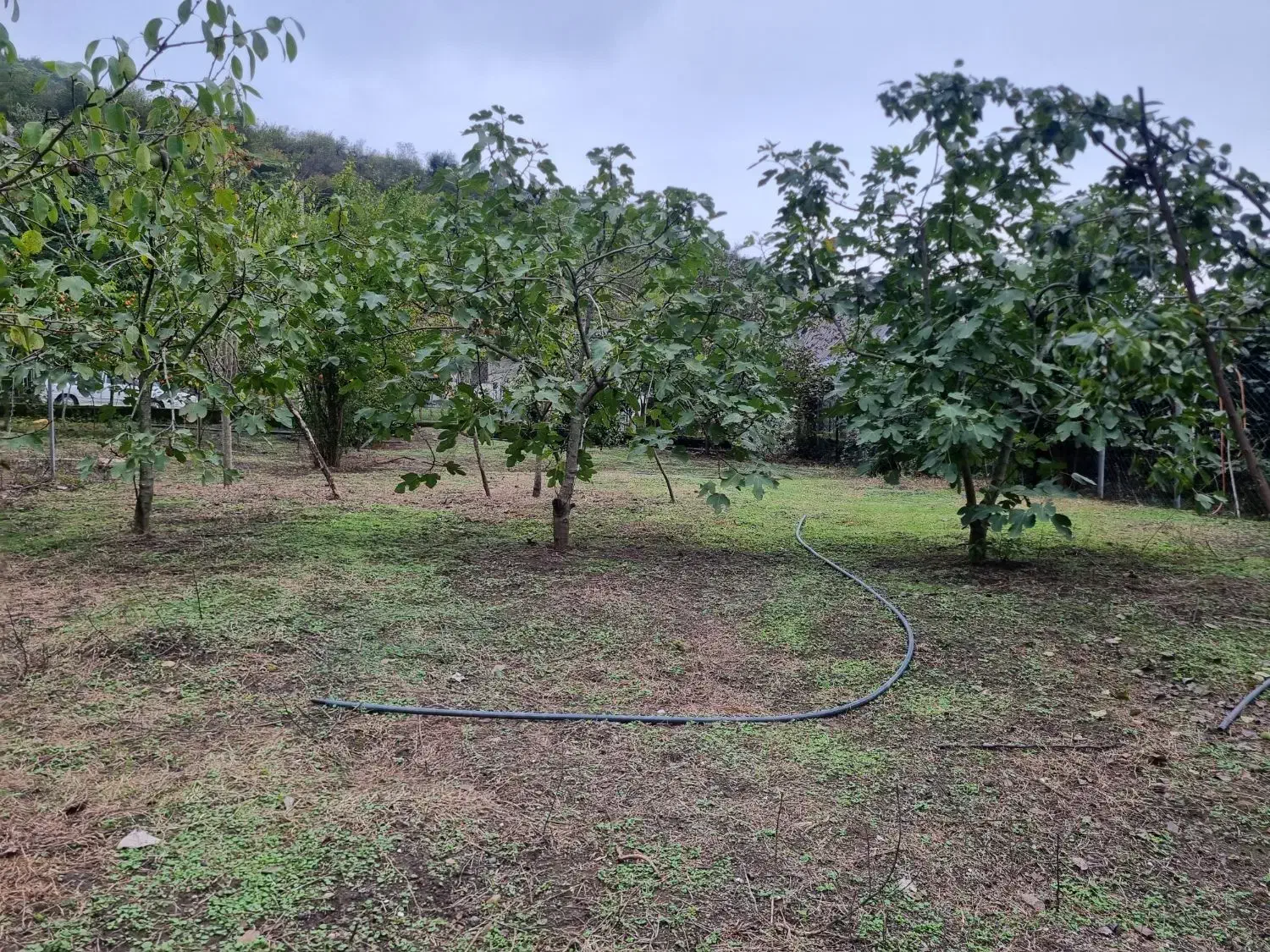 زمین با کاربری مسکونی ۴۰۳متر در نصرت آباد|فروش زمین و ملک کلنگی|حویق, |دیوار