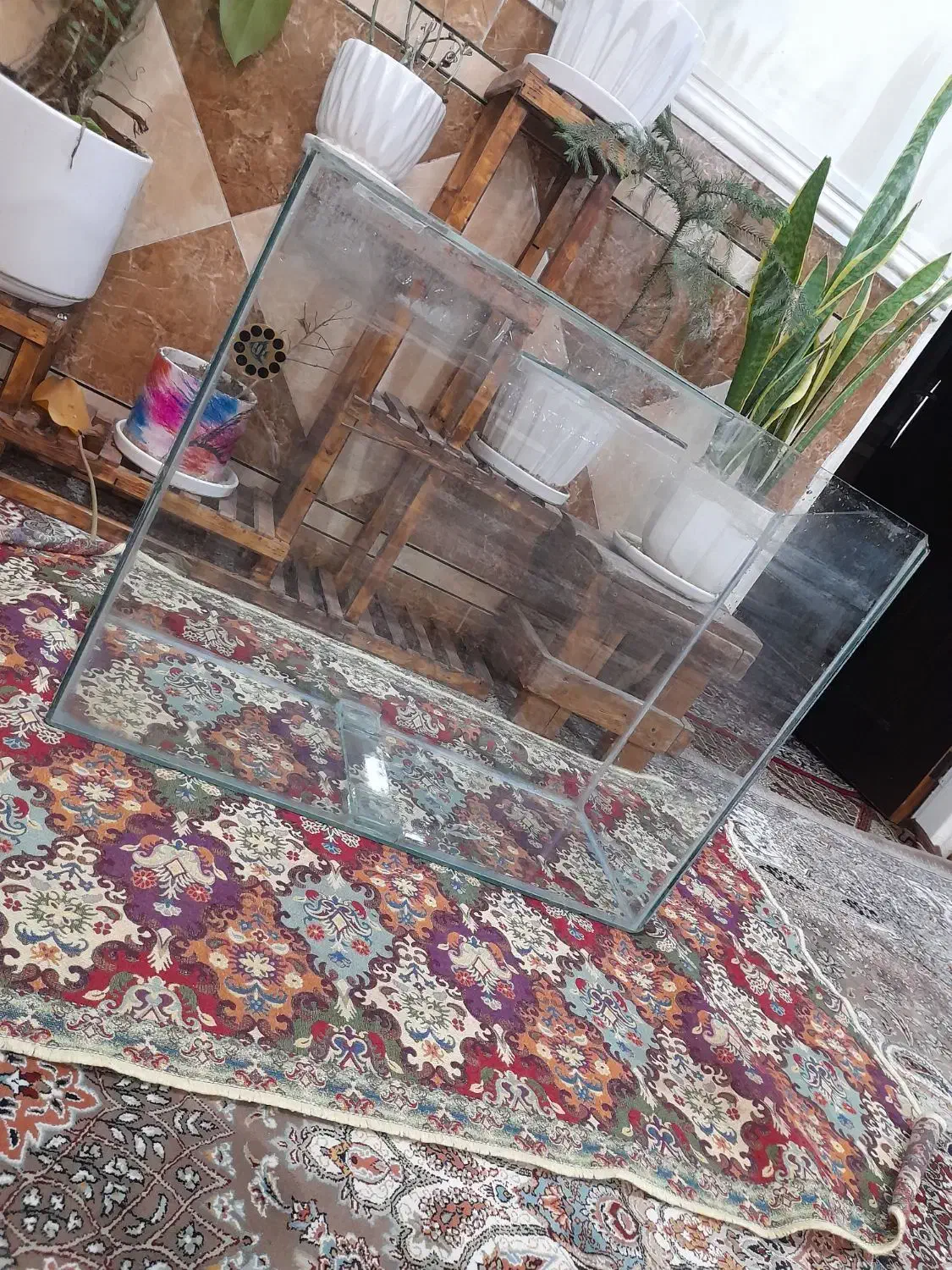 آکواریم|ماهی|اهواز, شهرک پیام|دیوار
