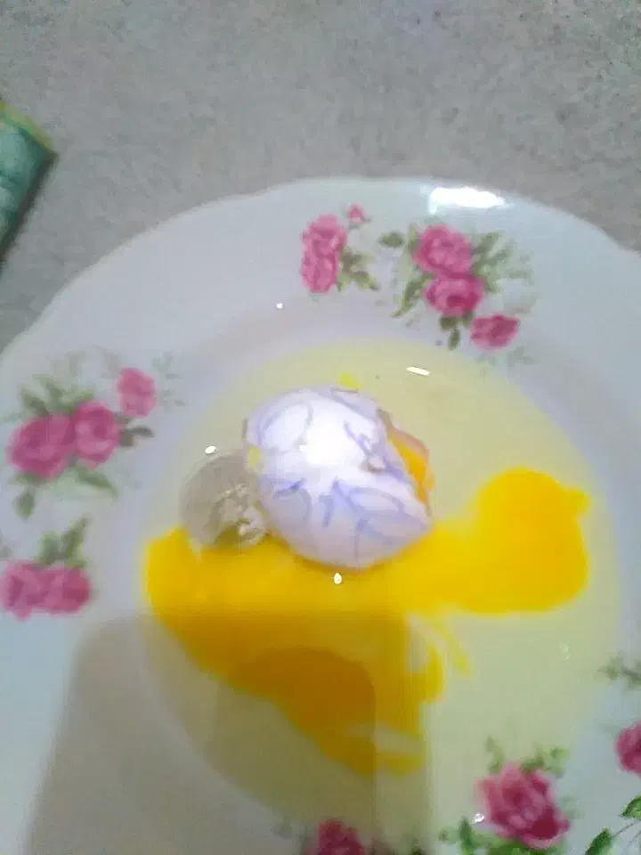 چشم نظر و سنگینی با تخم مرغ شکستن|خدمات پذیرایی، مراسم|گرگان, |دیوار