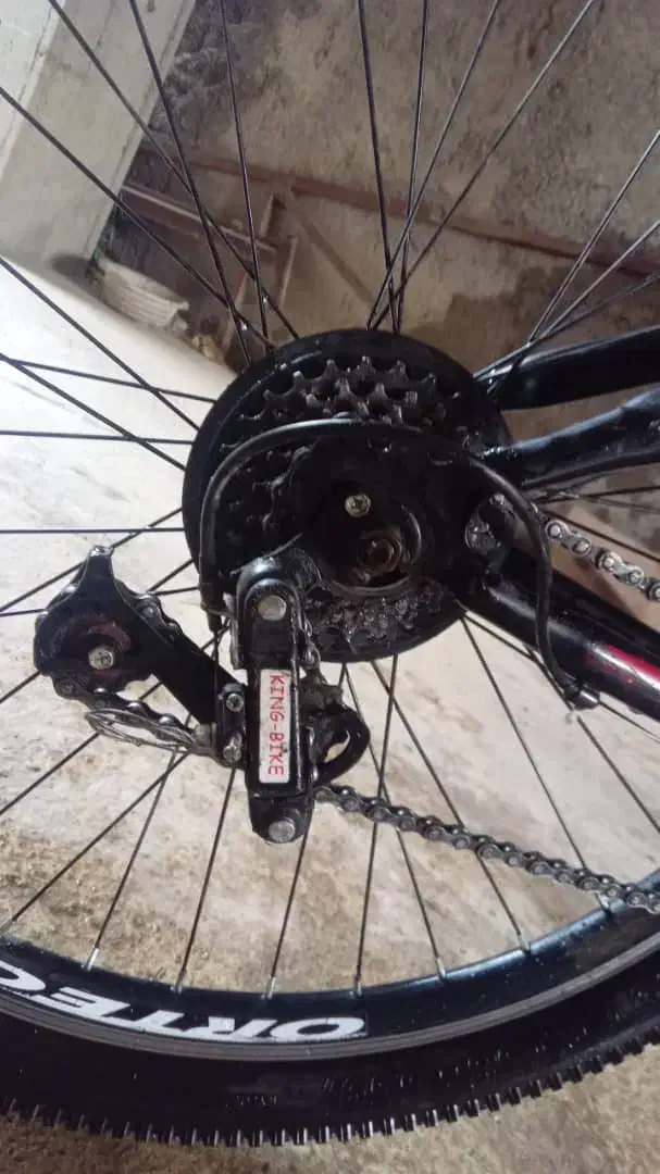 دوچرخه ۲۴ بزرگ|دوچرخه، اسکیت، اسکوتر|خان ببین, |دیوار