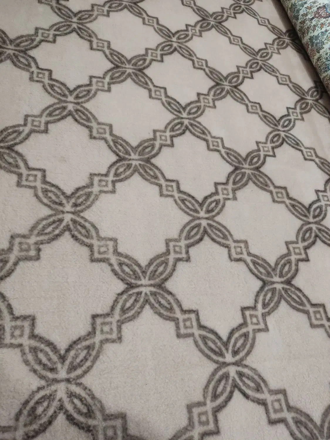 موکت سالم|موکت|نظرآباد, مصطفی آباد|دیوار