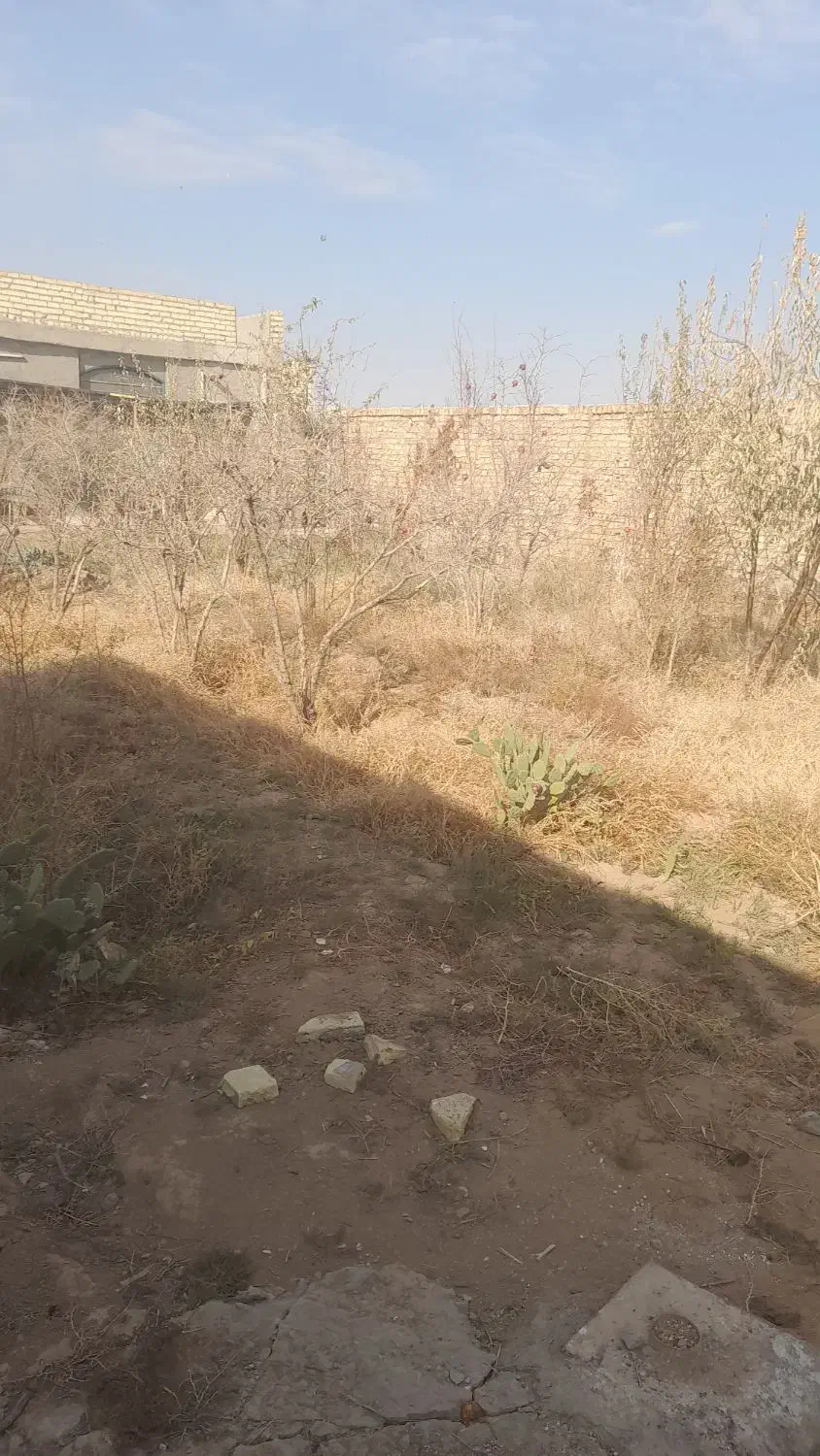 دست کلید|اشیا|آران و بیدگل, |دیوار