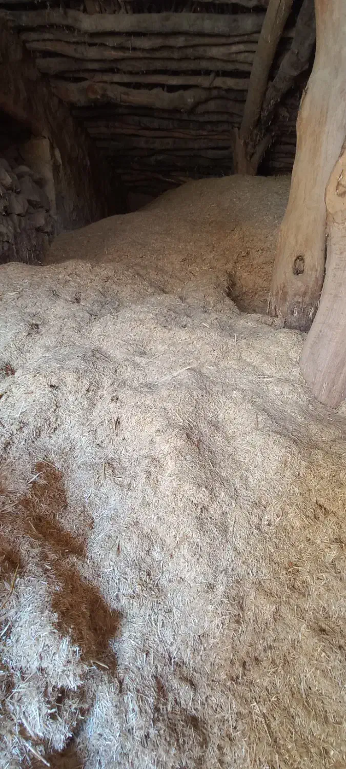 فروش کاه|خدمات باغبانی و درختکاری|شاهیوند, |دیوار