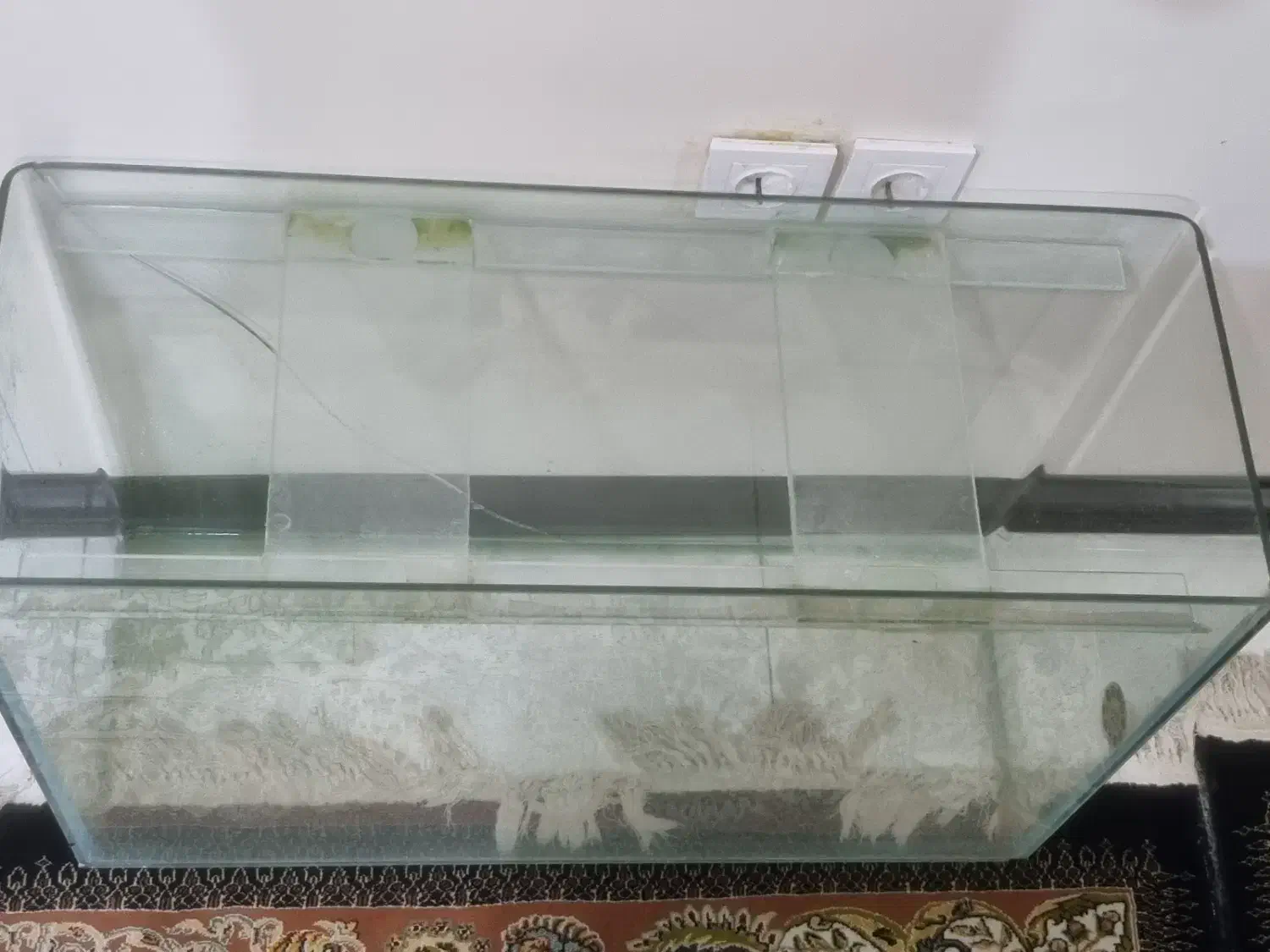 اکواریوم ۸۰ سانت|ماهی|اهواز, کوروش|دیوار