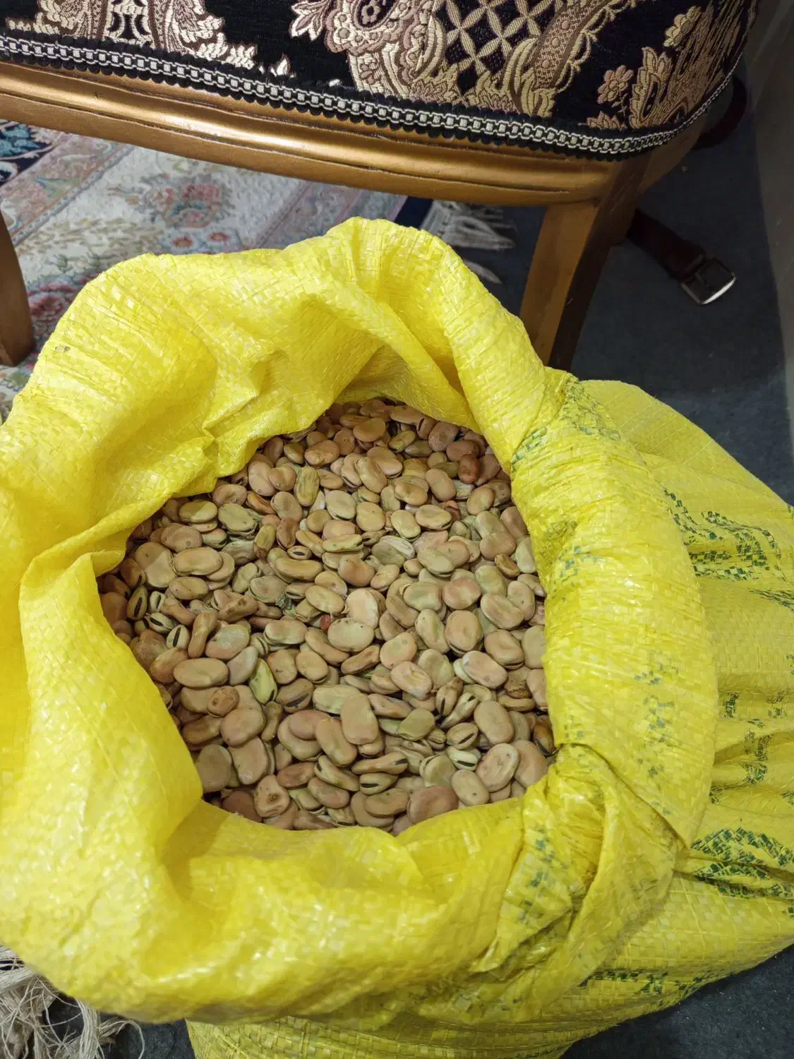 باقله بذری|خدمات باغبانی و درختکاری|بهبهان, |دیوار