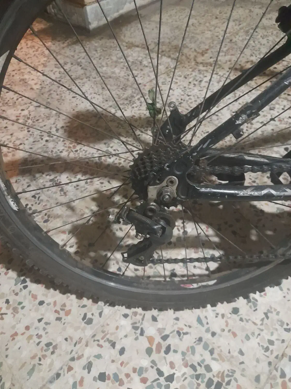 دوچرخه ۲۶|دوچرخه، اسکیت، اسکوتر|اندیمشک, |دیوار